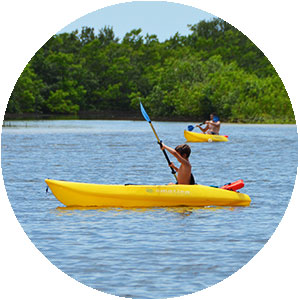 Rent single, double and quad kayaks on Marco Island at Tigertail Beach Rentals