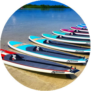 Marco Island Stand Up Paddleboard Rentals at Tigertail Beach